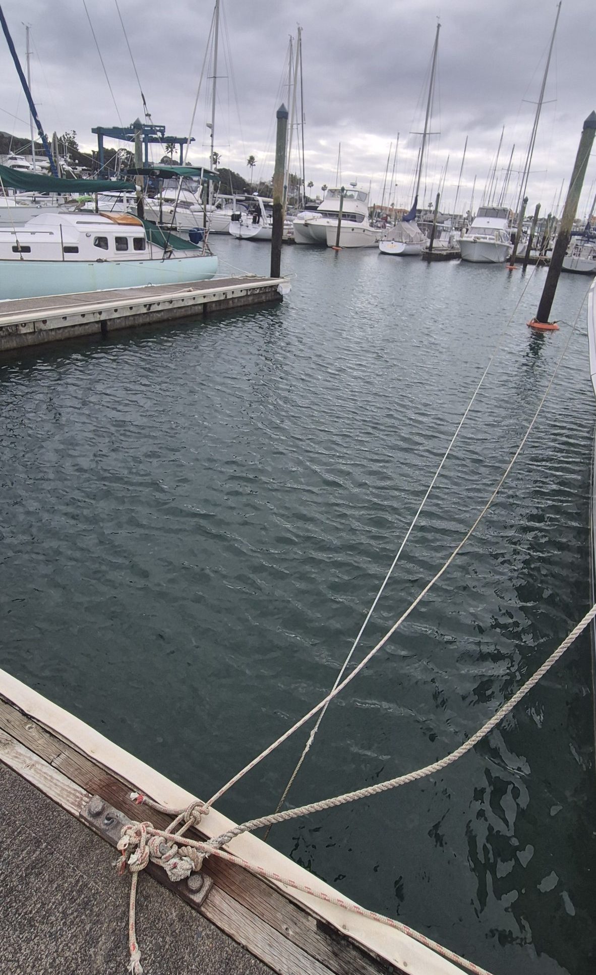 Berth E26 – 12m