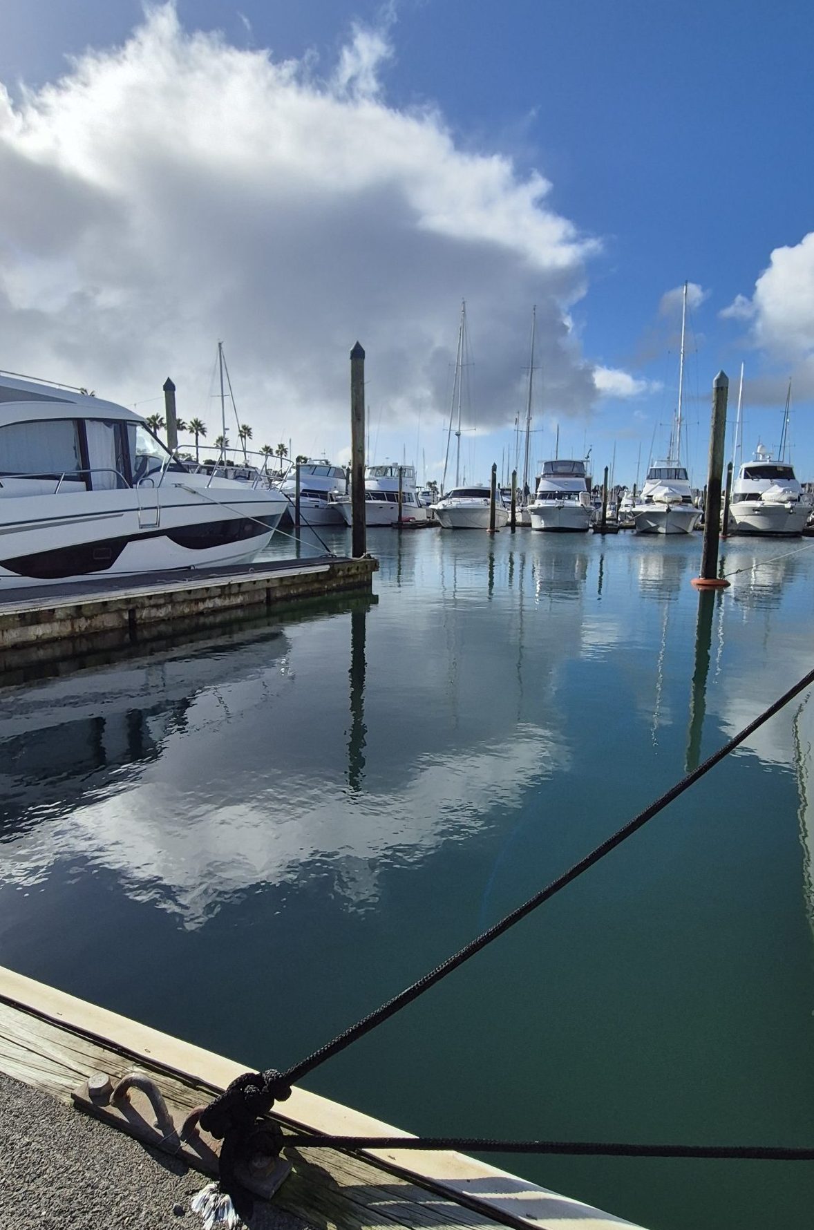 Berth Z08 12m x 4.6m